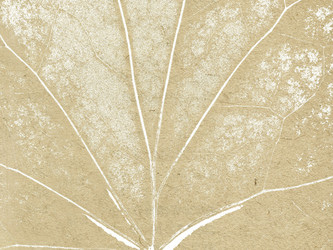 Similar image 899732