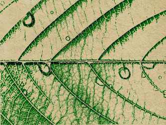 Similar image 899748