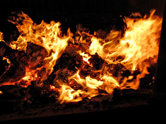 Similar image 899753