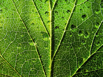 Similar image 899761