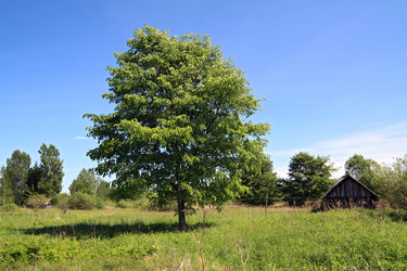 Similar image 899769