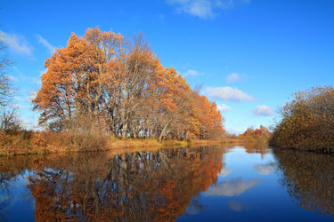 Similar image 899816