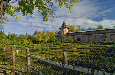 Similar image 899869