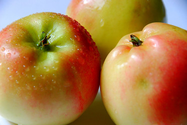 Similar image 900025