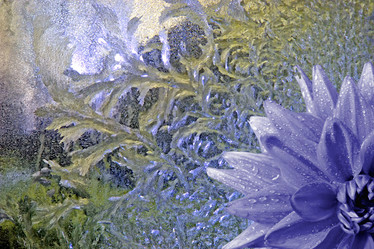 Similar image 900030