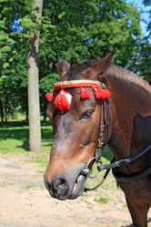 Similar image 900061