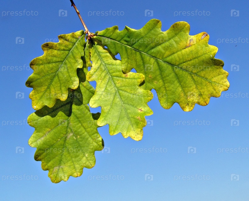 2. 2. 2. сет блоков 1. 12.