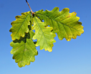 Similar image 900085