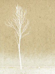 Similar image 900111