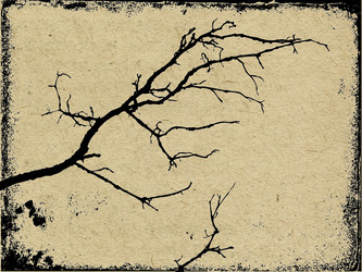 Similar image 900113