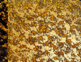 Similar image 900210