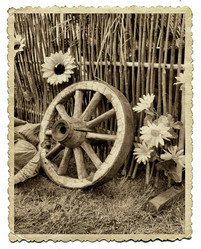 Similar image 900213