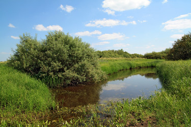 Similar image 900218