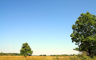 Similar image 900223