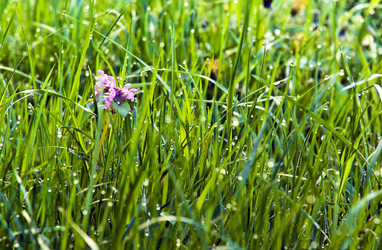 Similar image 900235