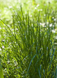 Similar image 900237