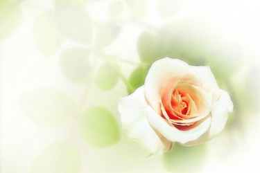 Similar image 900281