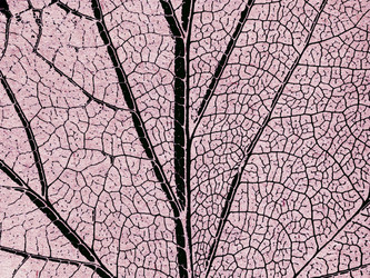 Similar image 900305