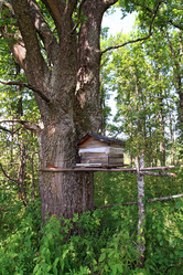 Similar image 900306