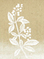 Similar image 900314