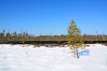 Similar image 900331