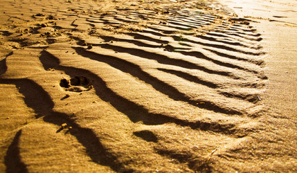 Similar image 900333