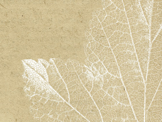 Similar image 900335