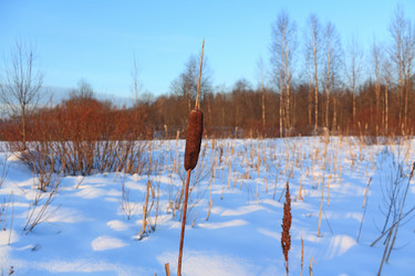 Similar image 900362