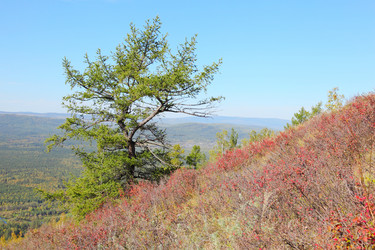 Similar image 900376