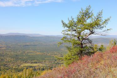 Similar image 900382