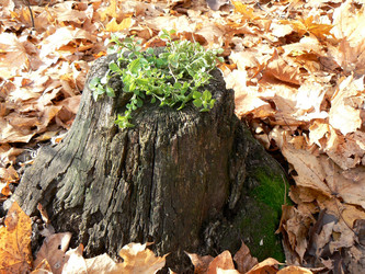 Similar image 900405