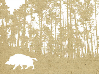 Similar image 900409