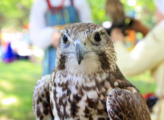 Similar image 900412