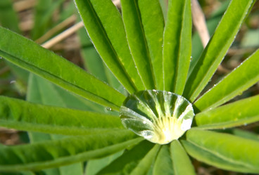 Similar image 900419