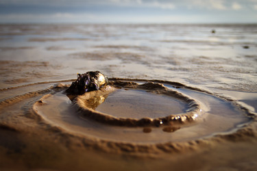 Similar image 900600