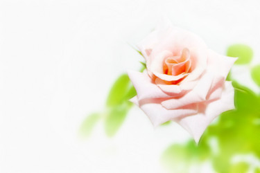 Similar image 900893