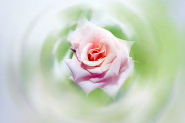 Similar image 900895