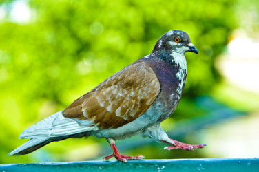 Similar image 900923