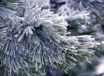 Similar image 900925