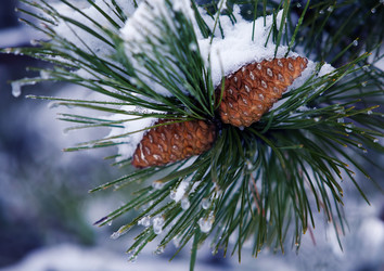 Similar image 900926