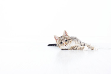 Similar image 900964