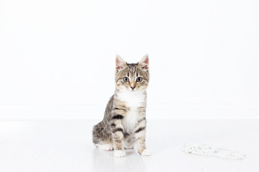 Similar image 900970