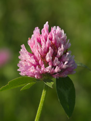 Similar image 901004