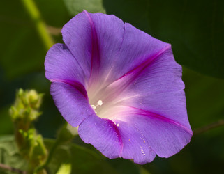 Similar image 901024