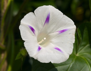 Similar image 901043