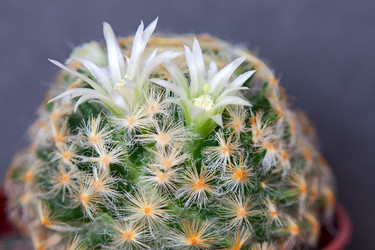 Similar image 901146