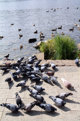 Similar image 901217