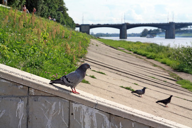 Similar image 901224