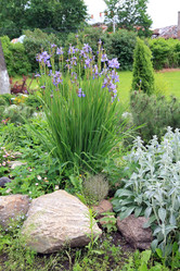 Similar image 901298