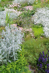 Similar image 901300